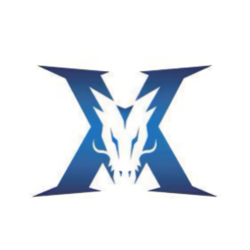 选择执行合 选择执行合